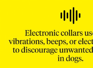 Elektronické obojky pro psy