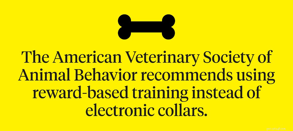 Elektroniska halsband för hundar