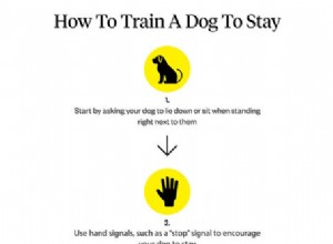 개에게 머물도록 가르치는 방법