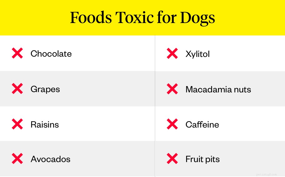 Zijn pinda s slecht voor honden?