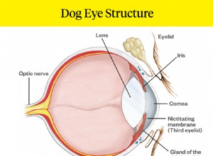 Co je Cherry Eye u psů?