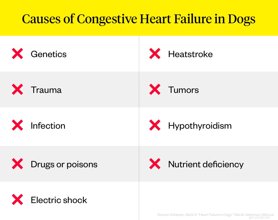 Wat is congestief hartfalen bij honden?