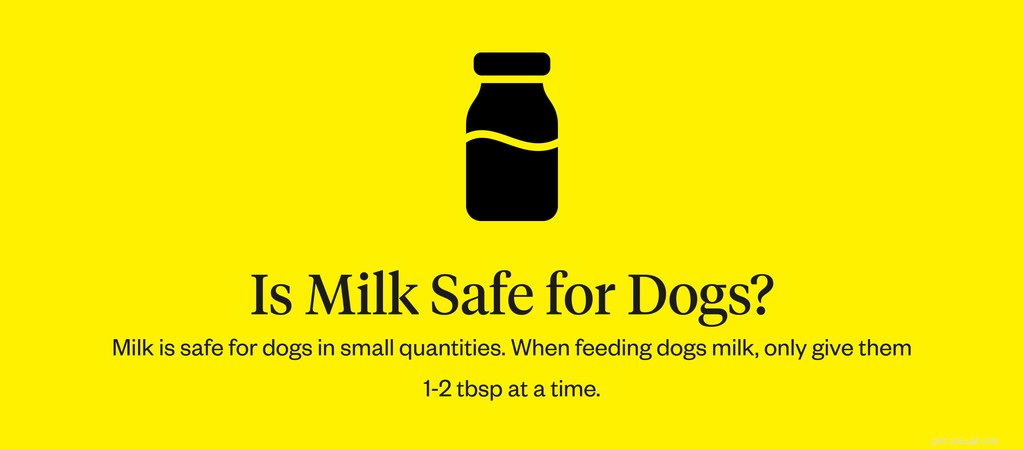 우유는 개에게 해롭습니까?