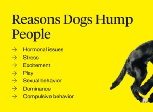 Proč psi hrbí lidi?