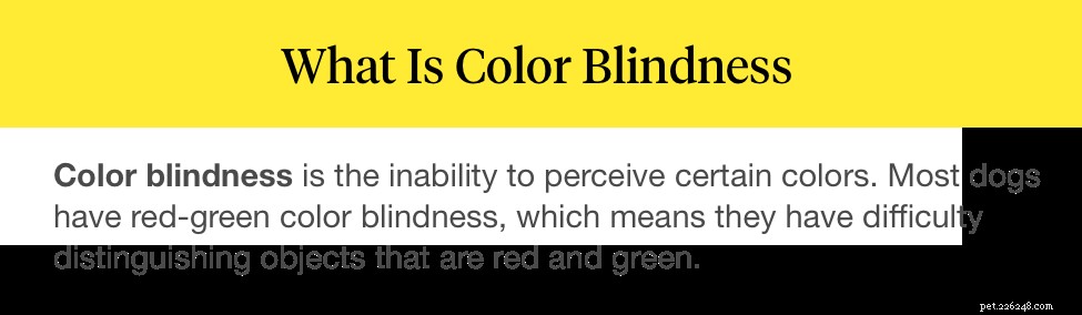 Zijn honden kleurenblind?