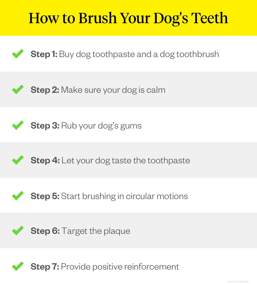 I cuccioli perdono i denti?