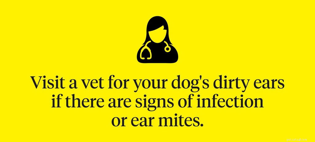 더러운 강아지 귀의 원인은 무엇입니까?