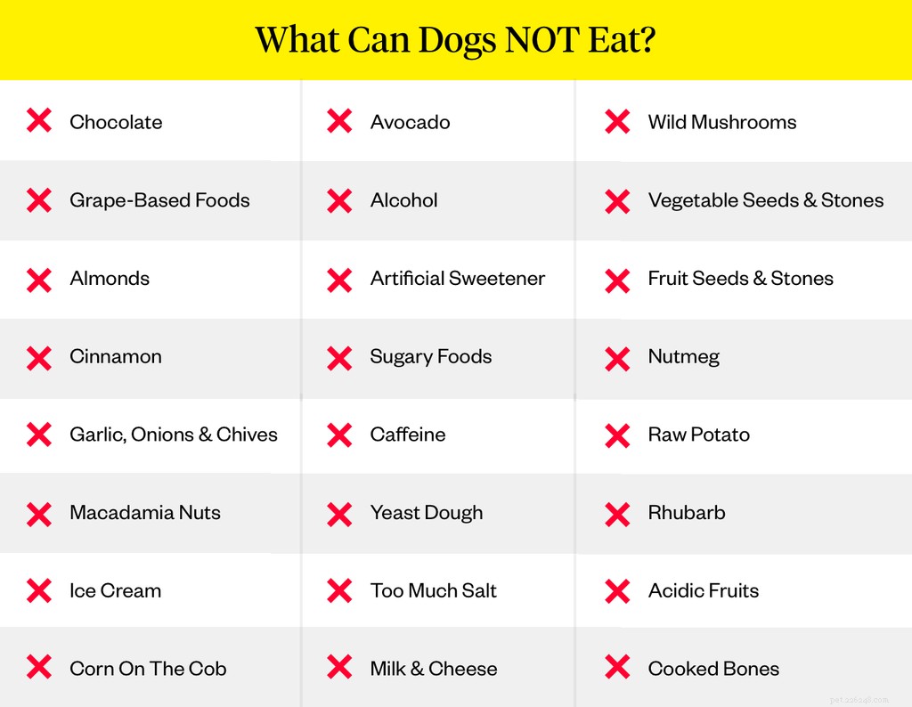 Cosa non possono mangiare i cani? (23 cibi tossici da evitare)