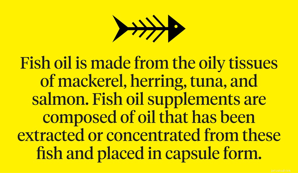 L huile de poisson pour les chiens :l huile de poisson est-elle bonne pour les chiens ?