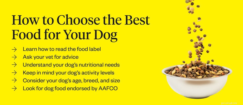 Conseils pour choisir la meilleure nourriture pour chiens