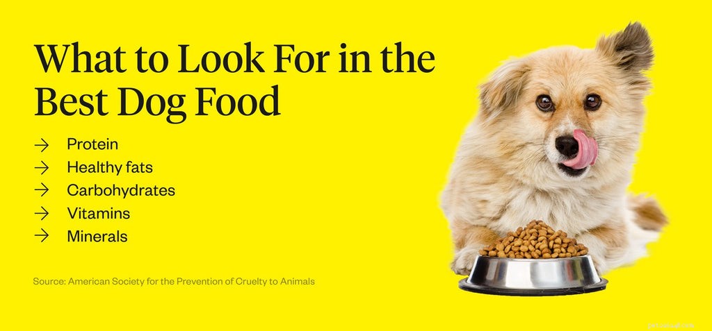 Conseils pour choisir la meilleure nourriture pour chiens