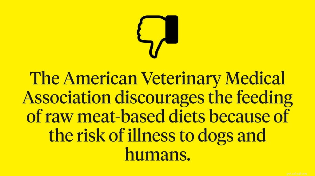 As dietas cruas para cães são seguras?