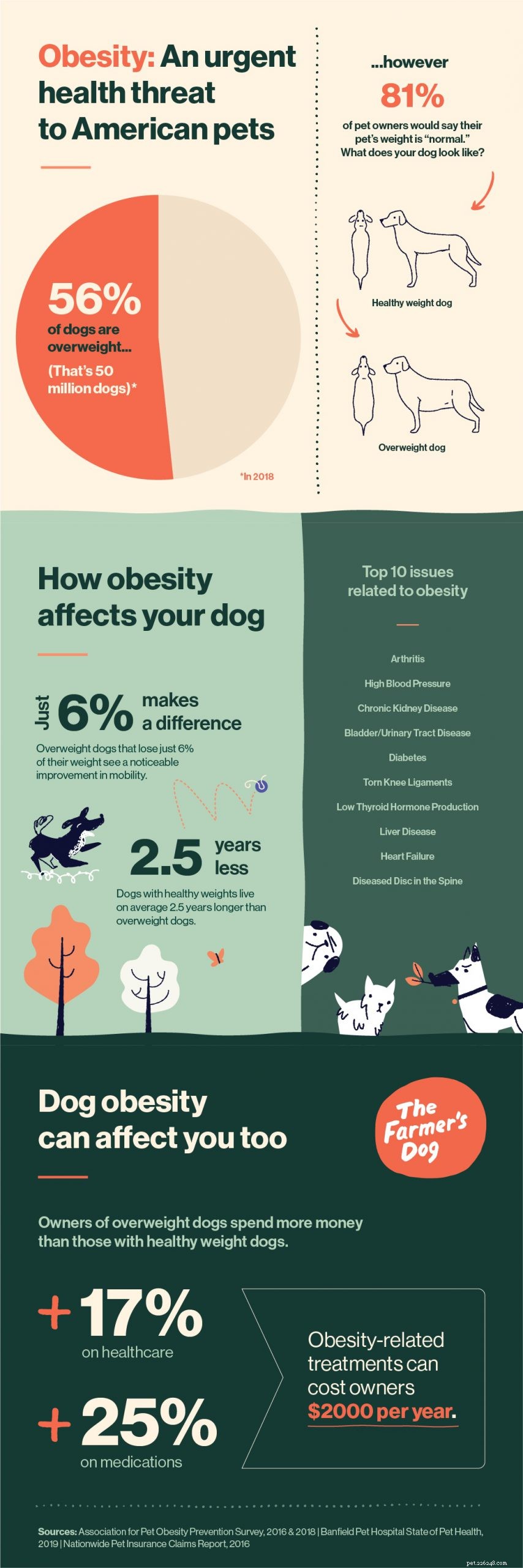 Obesitas bij honden:een enorme bedreiging voor de gezondheid die zich in het volle zicht verbergt