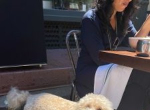 Dîner d un chien :conseils pour dîner au restaurant avec votre chien