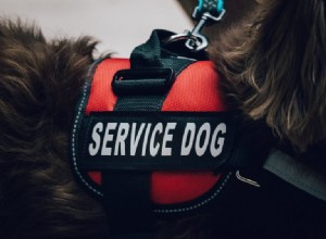 Rozdíl mezi službami, terapií a psy na podporu emocí