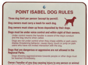 5 советов, как избежать драк в собачьем парке