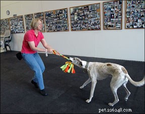 綱引きはあなたの犬と遊ぶ楽しいゲームです 