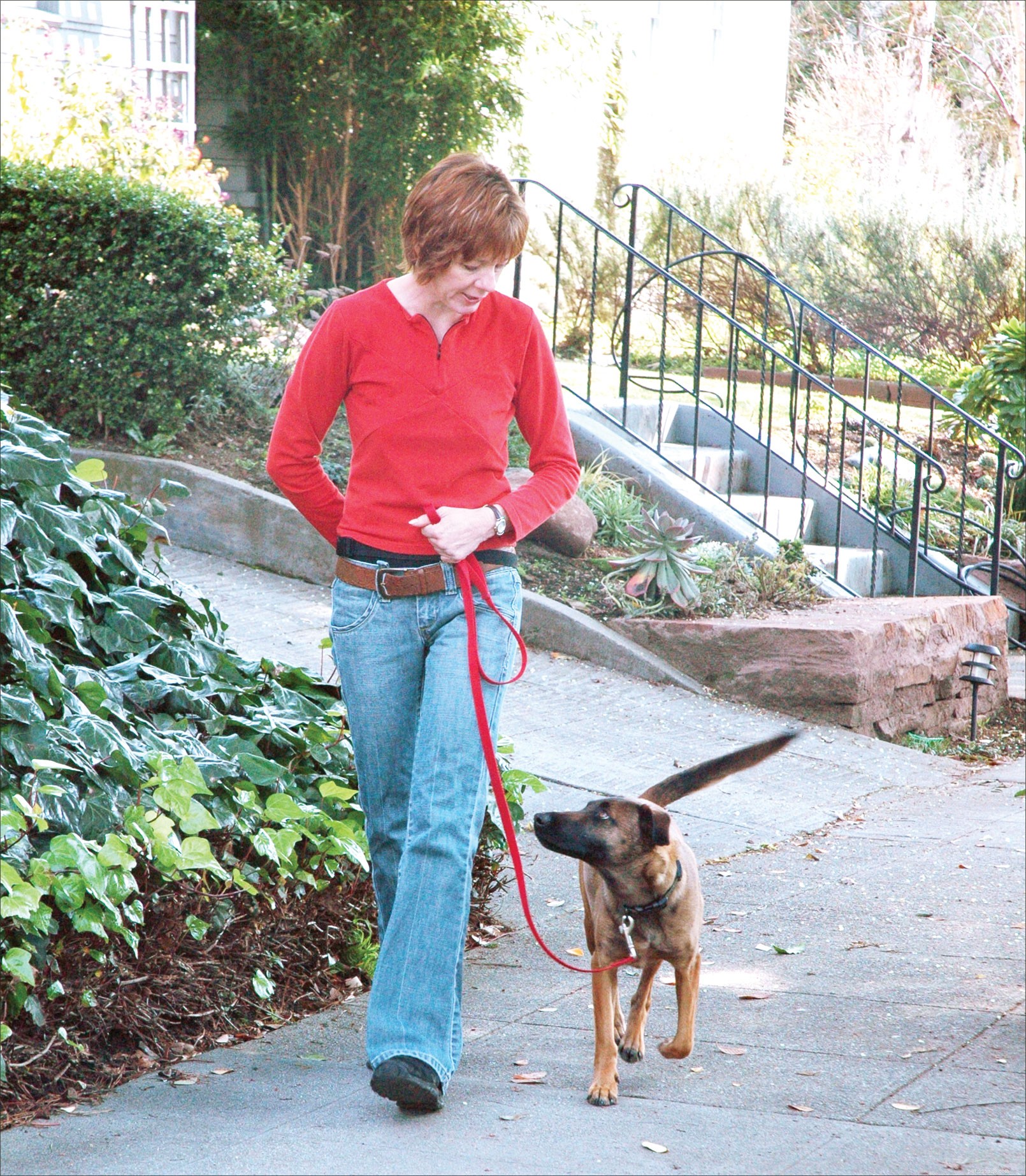 あなた自身の犬を歩くための9つの専門家のヒント 