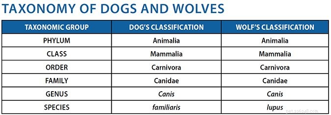Honden versus wolven