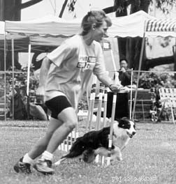 Canine-atletiekcompetitie en sportpsychologie