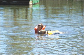 犬の水泳レッスン：犬にぴったりのエクササイズ