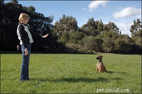 手信号による犬の訓練 