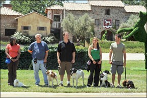Positiv hundtränare vinner 2:a plats i CBS:s  Greatest American Dog 