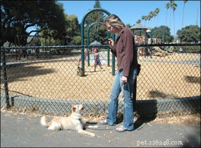 Uso degli addestratori di cani per generalizzare un comportamento