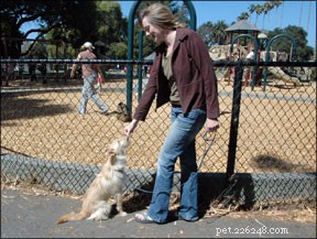 Uso degli addestratori di cani per generalizzare un comportamento