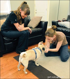 Victoria Stilwell promove treinamento positivo de cães na televisão