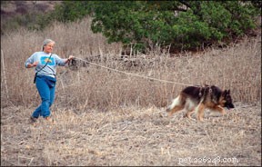 Canine Sports:Tracking