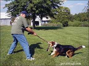 Jeux pour chiens auxquels jouer si vous avez une déficience physique
