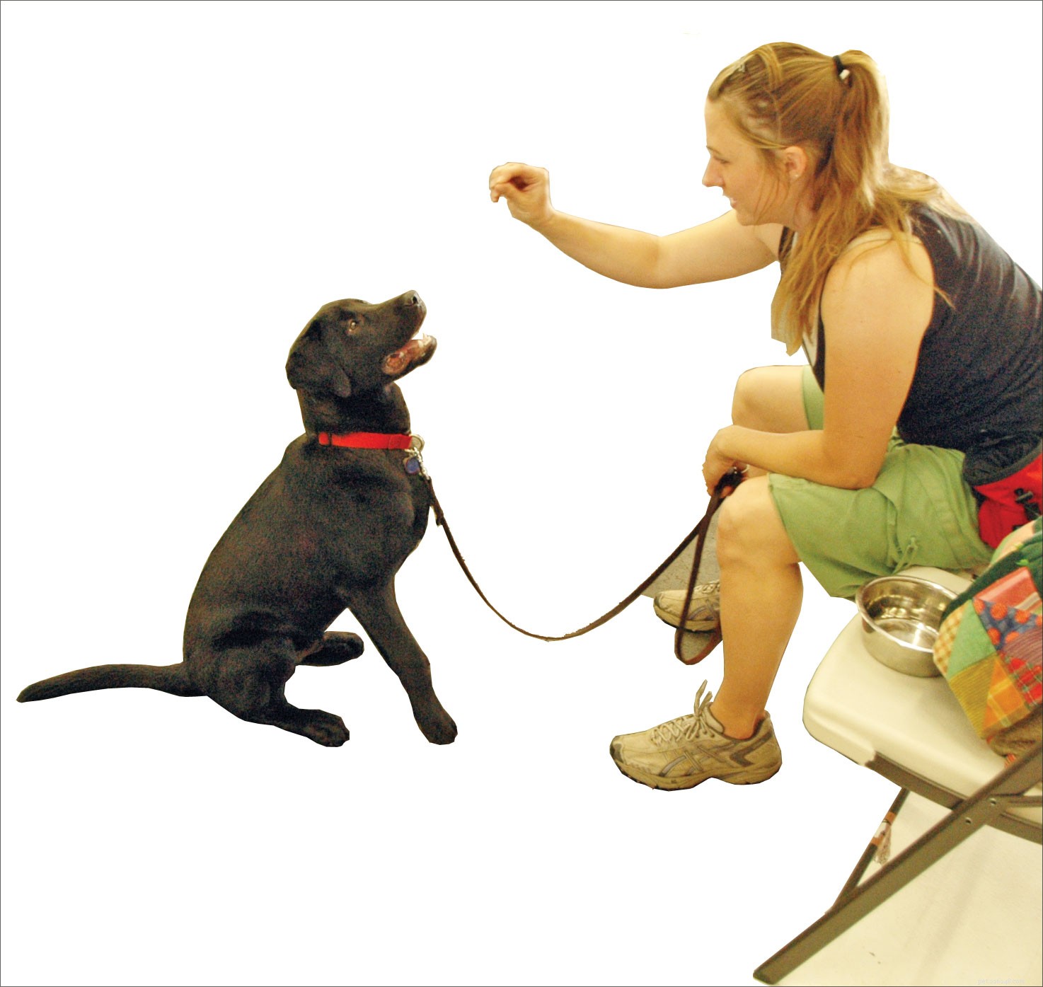 5 sätt att hjälpa din hund att lära sig ledtrådar