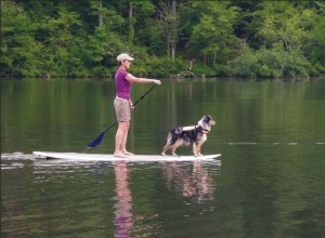 Stand-up paddle com seu cachorro