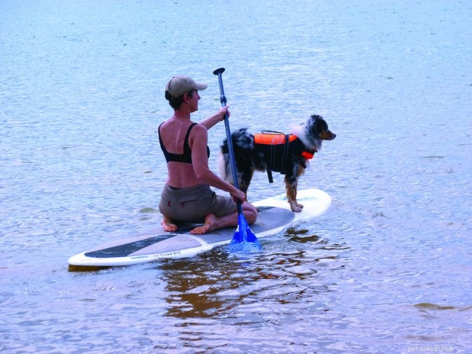 Stand-up paddlesurfen met je hond