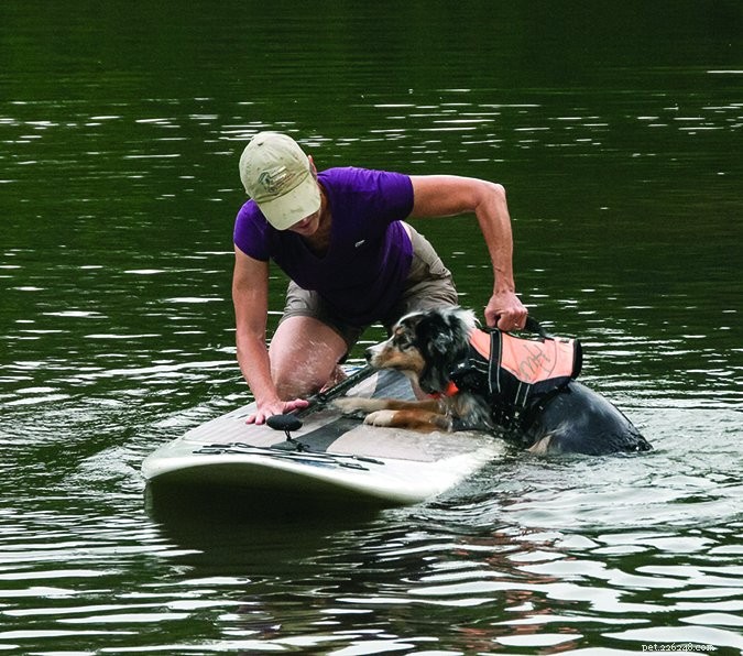 Stand-up paddle con il tuo cane