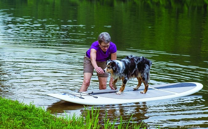 Stand-up paddlesurfen met je hond