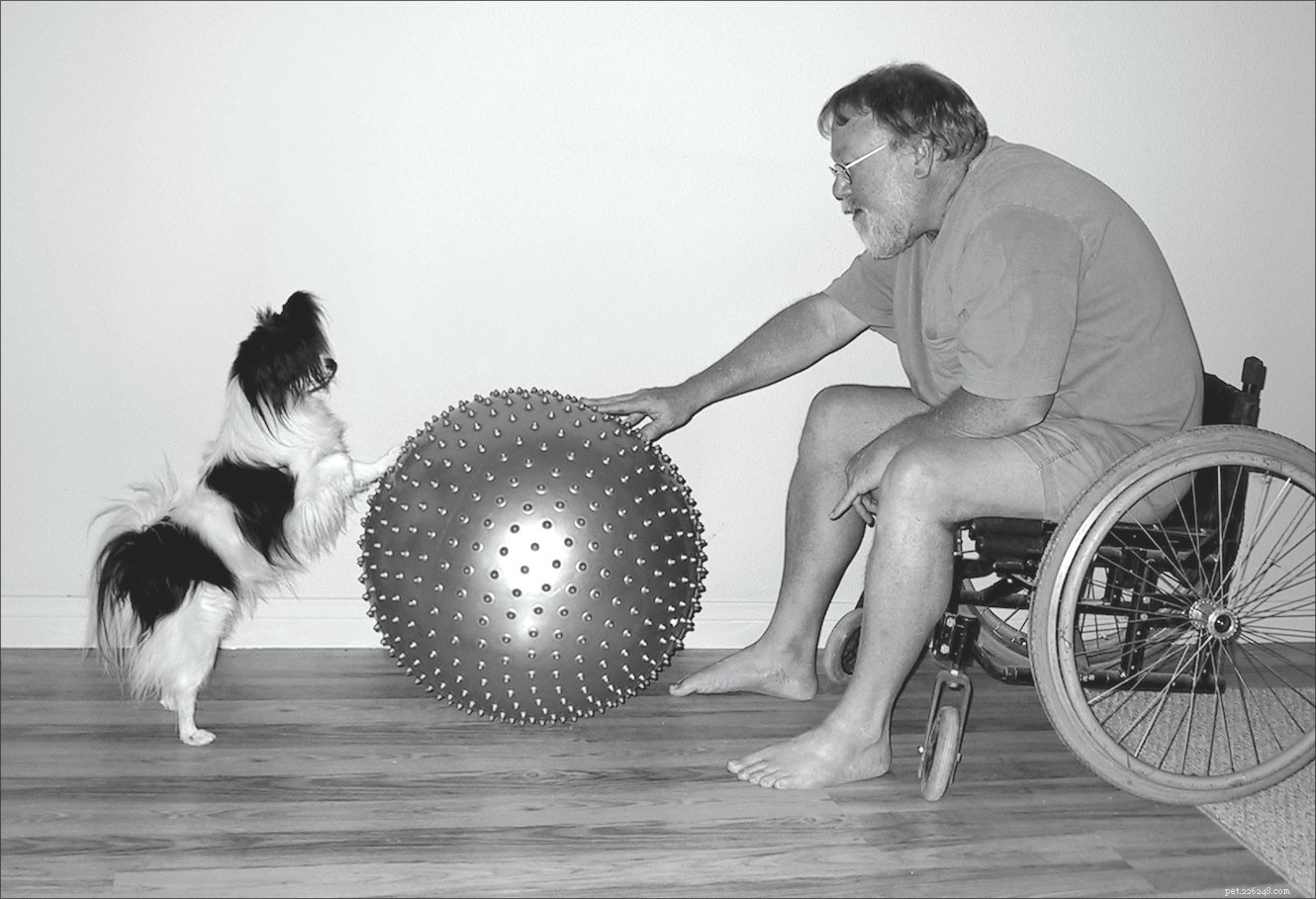 Come il tuo cane può aiutare con la terapia fisica