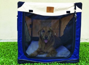 Soft-Sided Dog Crates：Best and Worst