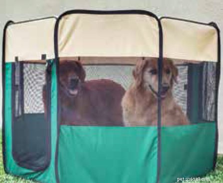 Cages souples pour chiens :les meilleures et les pires