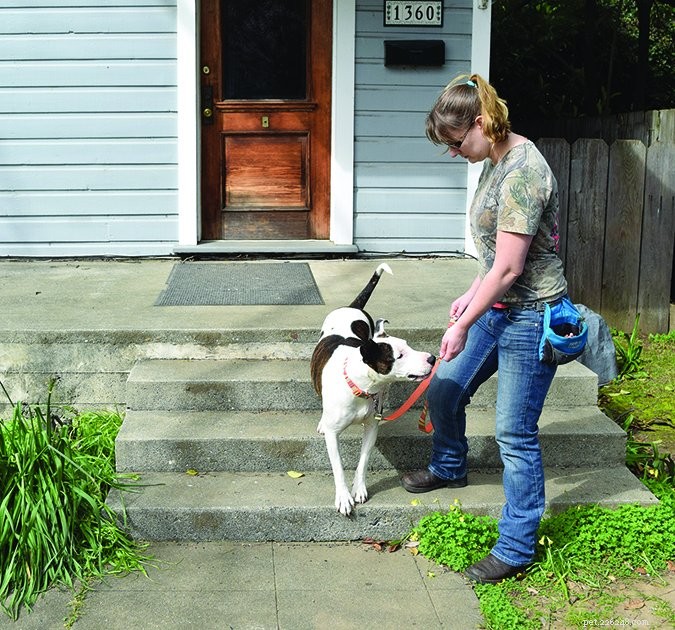 ゆるい鎖の歩行：犬を引っ張らないように訓練する
