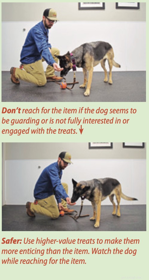 Protokoll för att lära ut en säker  handel  med din hund