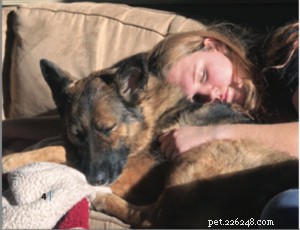 Co je pro vás nejlepší:Adopce dospělého psa versus štěně