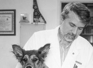 Konvenční onkologická péče pro psy