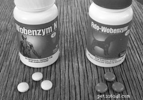 Вобэнзим:добавка пищеварительного фермента для собак