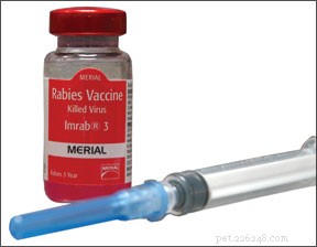 Plus d États modifient les exigences en matière de vaccin antirabique