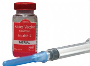 Více států změnilo požadavek na vakcínu proti vzteklině