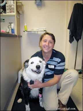 Chemioterapia per cani:cosa aspettarsi