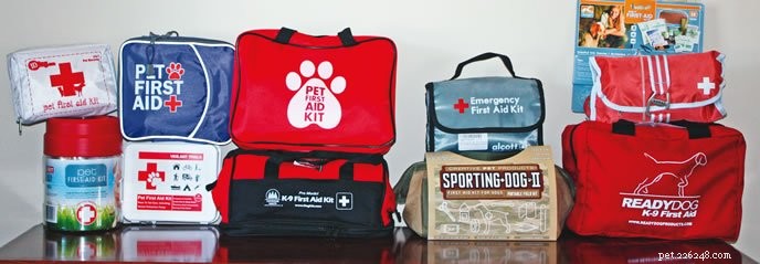 개를 위한 응급 처치 키트:원하는 것, 필요한 것, 필수적인 것