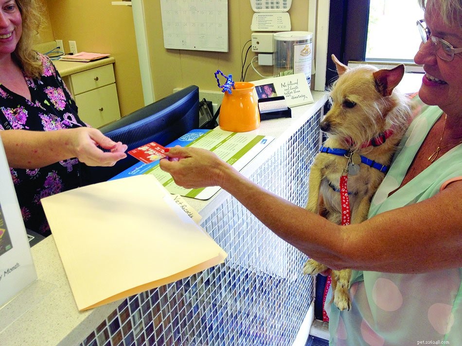 3 kroky k dokonalé návštěvě veterináře pro vašeho psa (a vás)